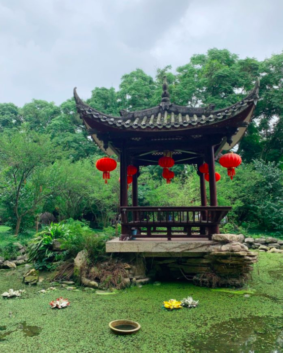 Tranquil spot for a rest in the Leshan Giant Buddha Park