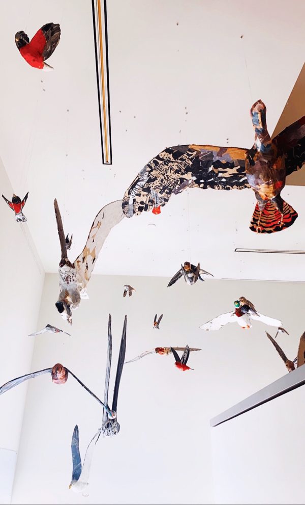 Portland Art Museum Bird Maine