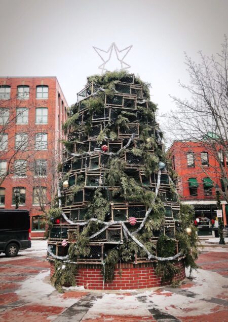 Portland Maine Christmas Tree winter