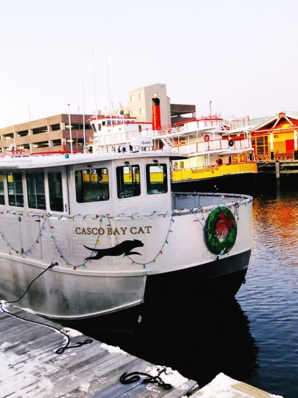 Casco Bay Cat Boat Portland Maine Winter