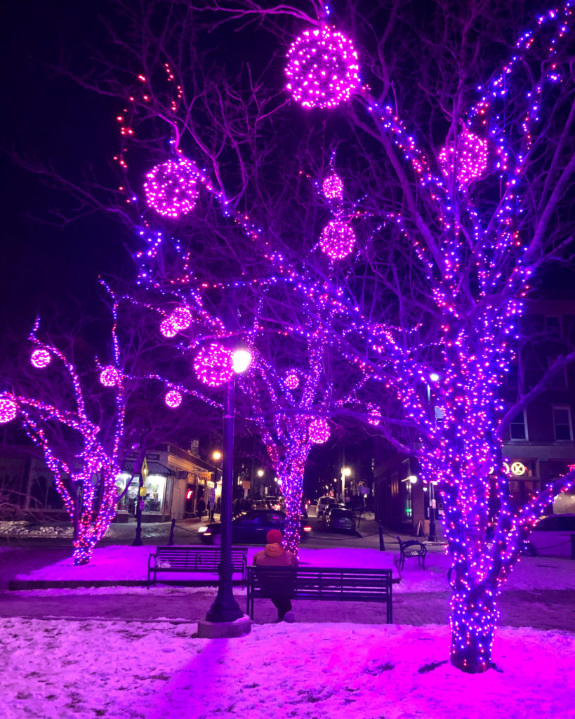 Longfellow Square Portland Maine Winter Christmas Lights Nighttime