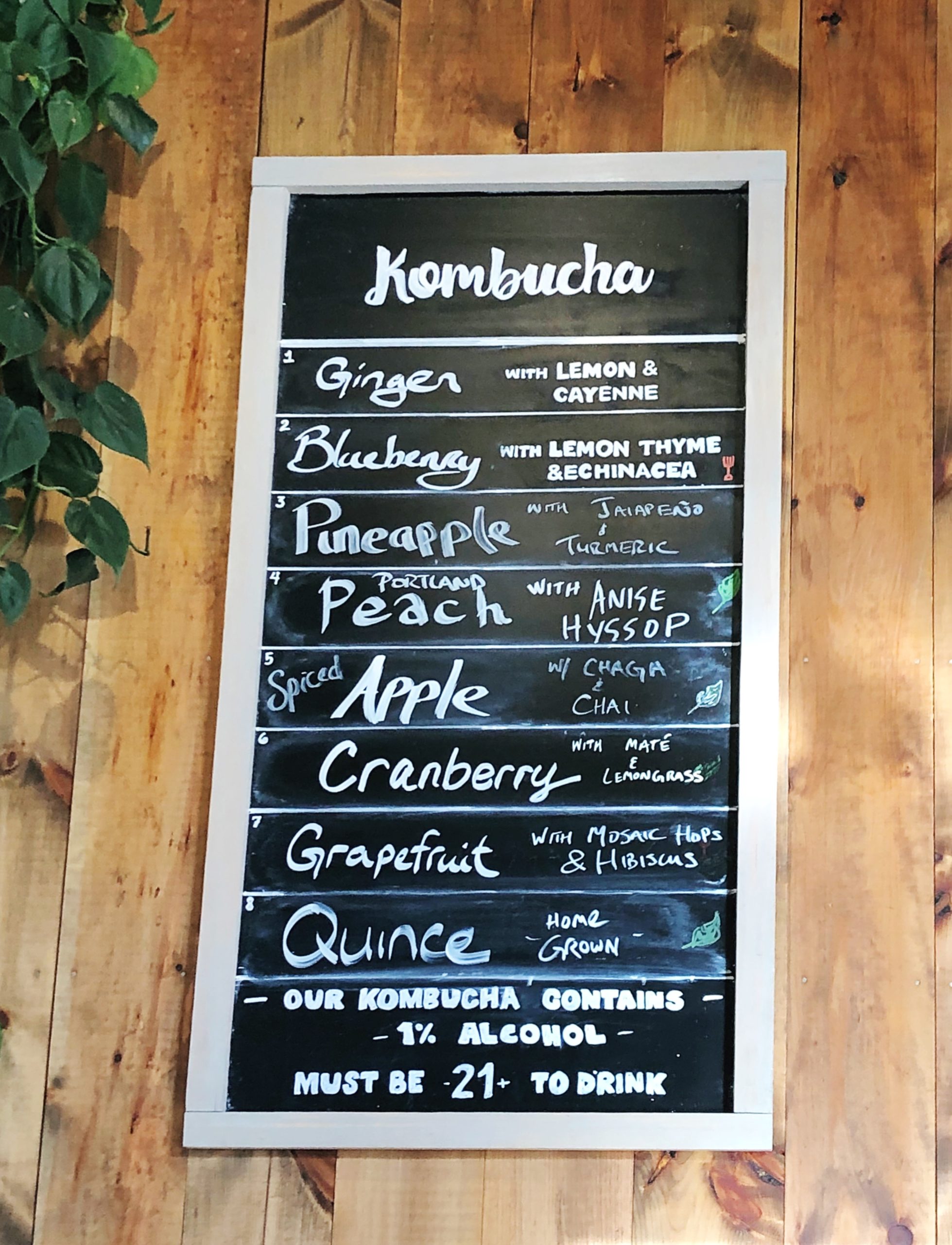 Kombucha Menu Root Wild Portland Maine