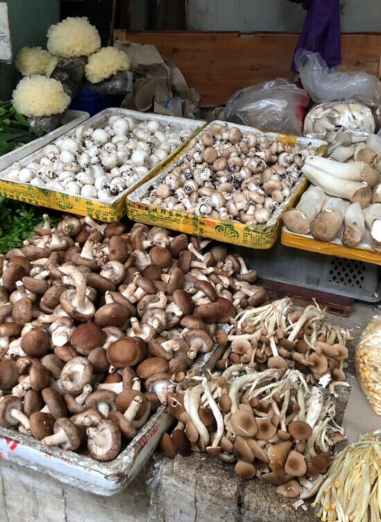 Mushrooms Market Chengdu