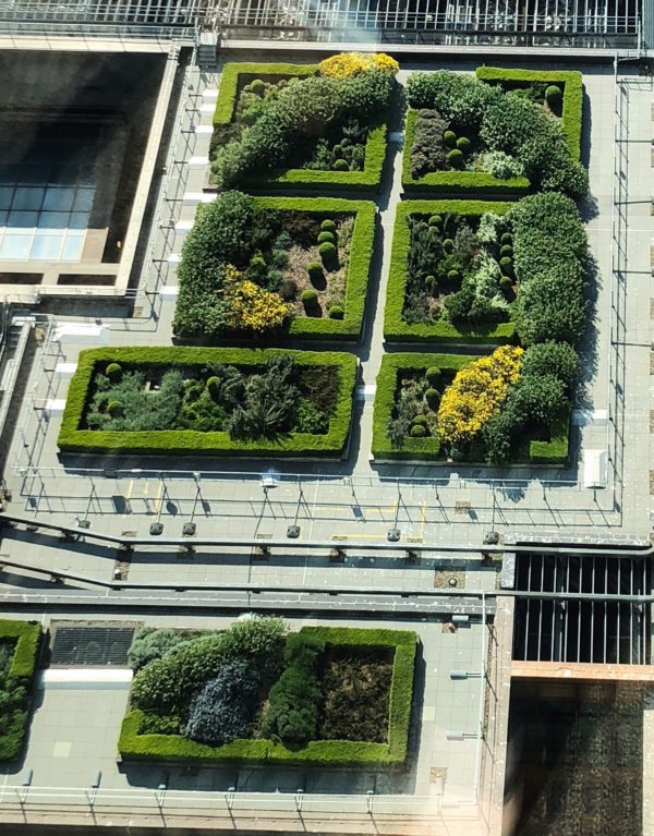 Rooftop Garden Guide to Canary Wharf