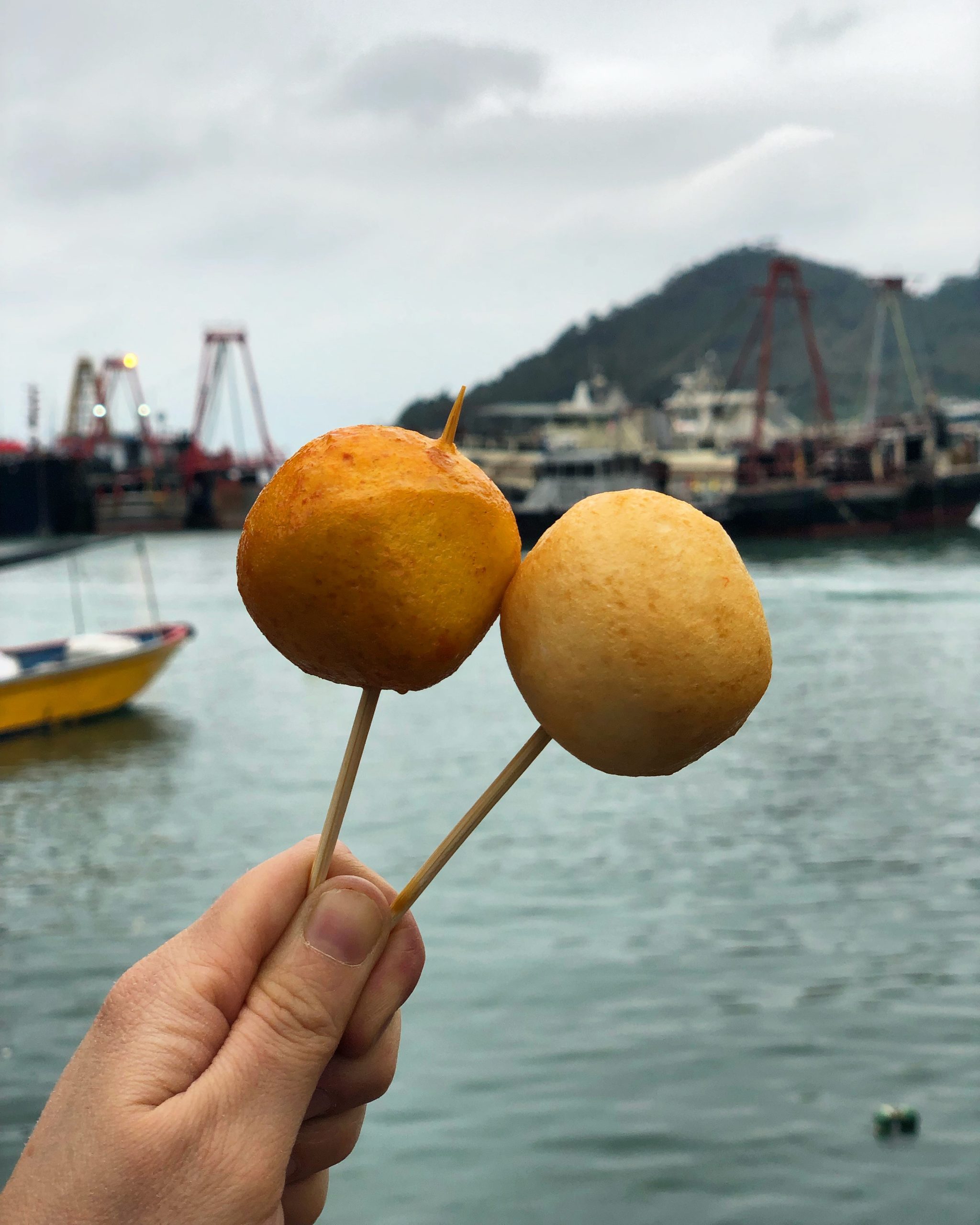 Fresh Fish Balls from Tai O Fishing Village, Hong Kong