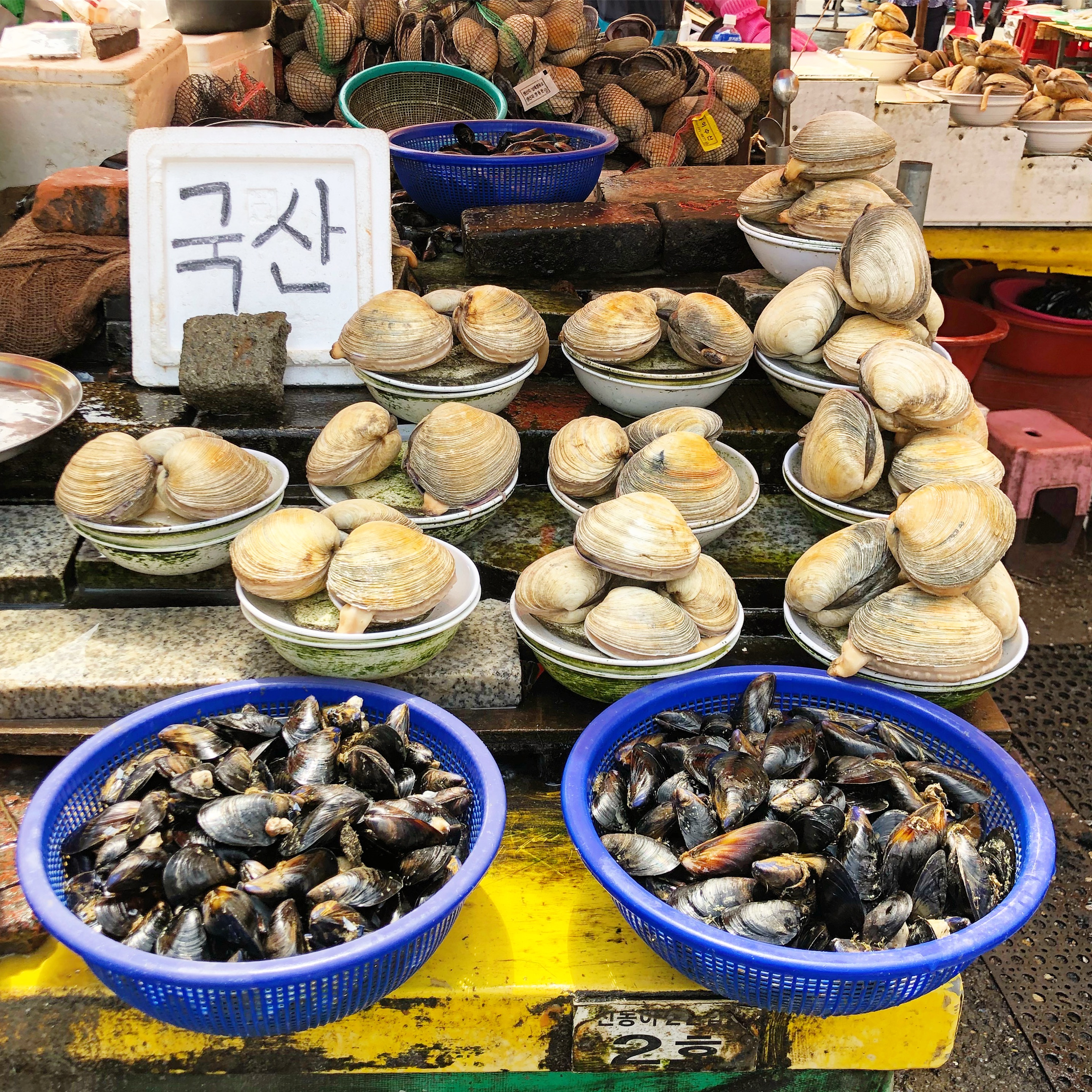 Clams for Sale Busan Jagalchi Market