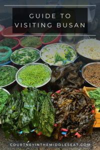 Visitors Guide to Busan Top 5 Things to Do in Busan