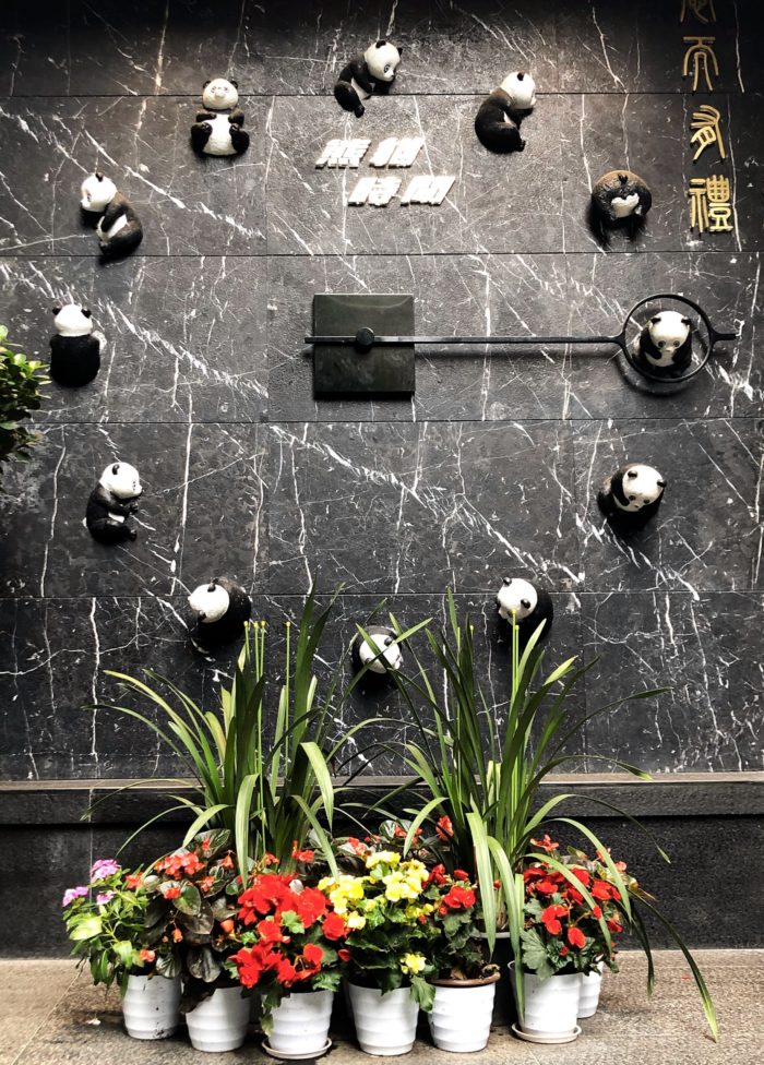 Panda o'Clock in Chendgu