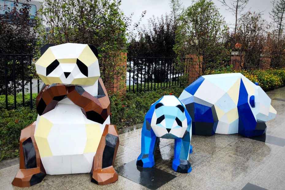 Pandas in Chengdu Vistitor's Guide