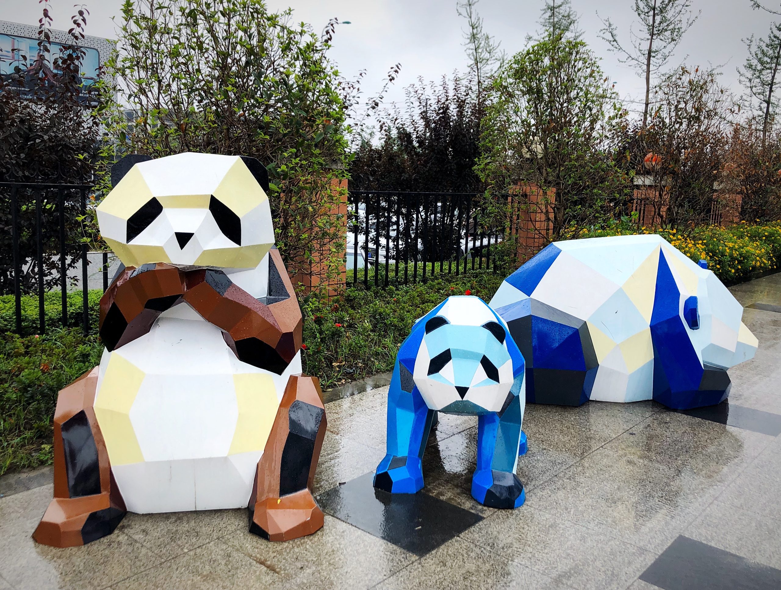 Pandas in Chengdu Vistitor's Guide