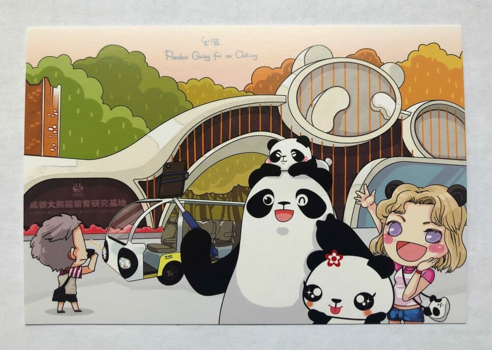 Panda Postcard Chendgu China