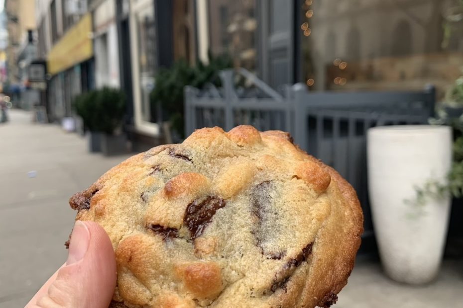 Manan Nutty Chocolate Chip Cookies