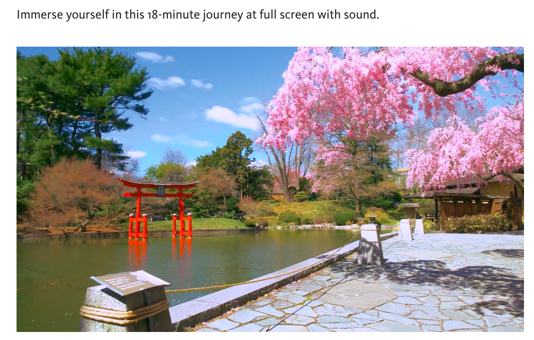 Brooklyn Botanical Garden - Stroll through the Japanese Garden