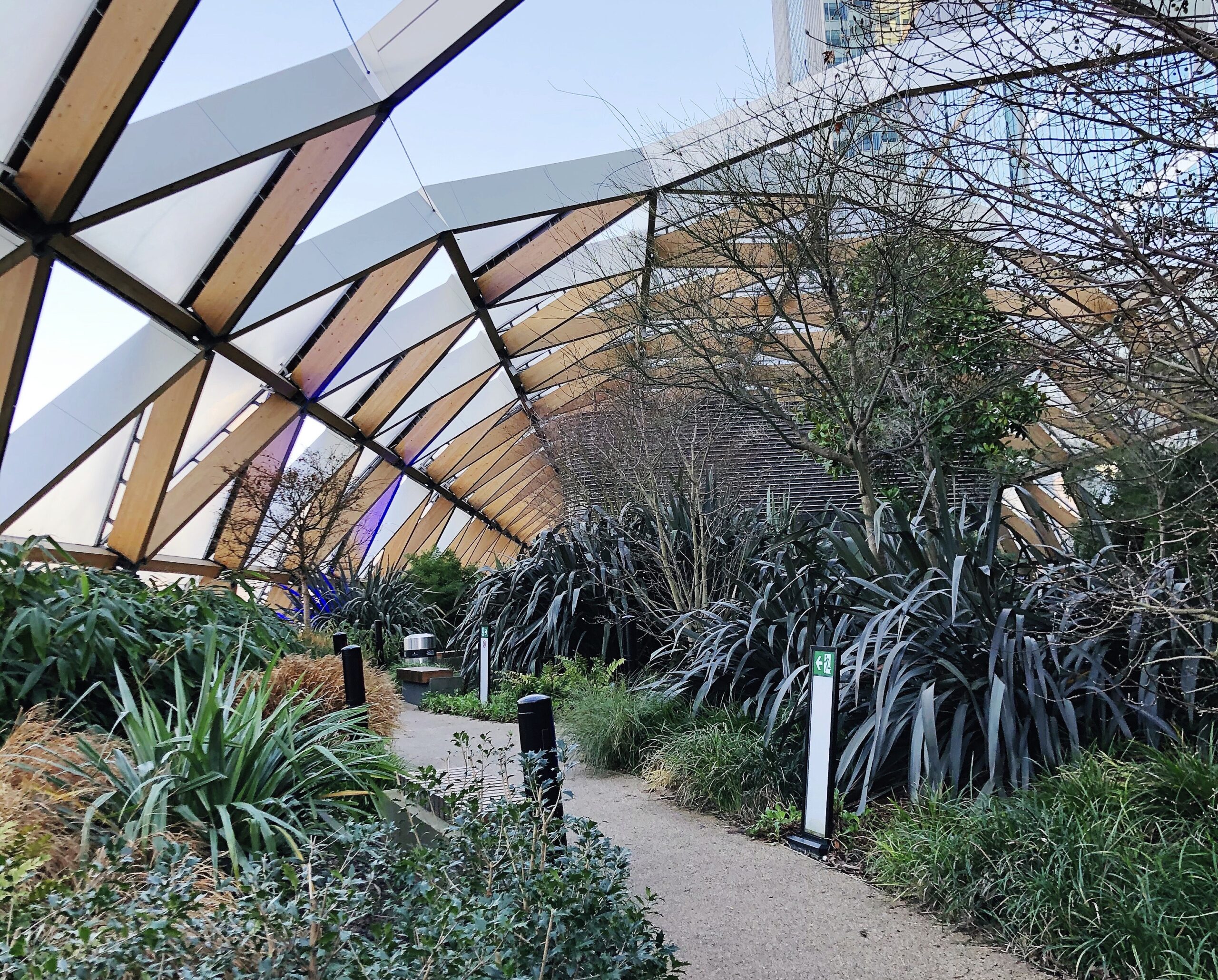 Canary Wharf Crossrail Roof Garden with green plants and large glass windows