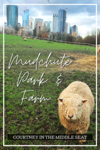 Visit Mudchute Park and Farm