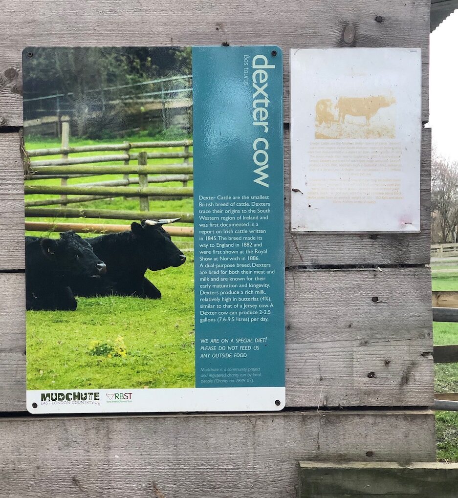 Sign at Mudchute Park and Farm for Dexter Cows