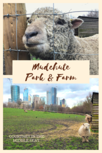 Visit Mudchute Park and Farm