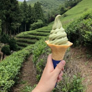 Green Tea Ice Cream in Boseong - Best Desserts in South Korea