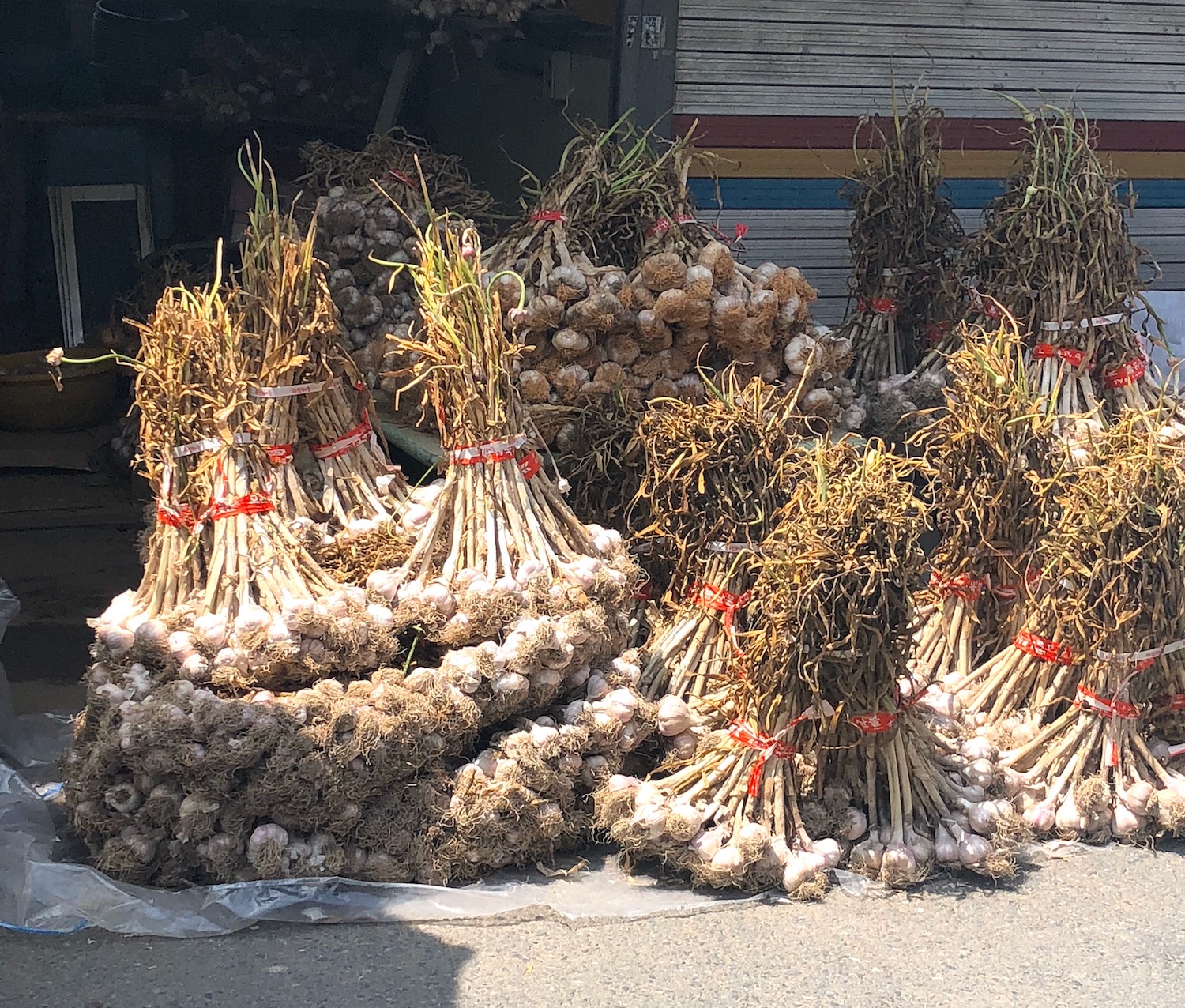 Garlic for sale at Nambu Market in Jeonju