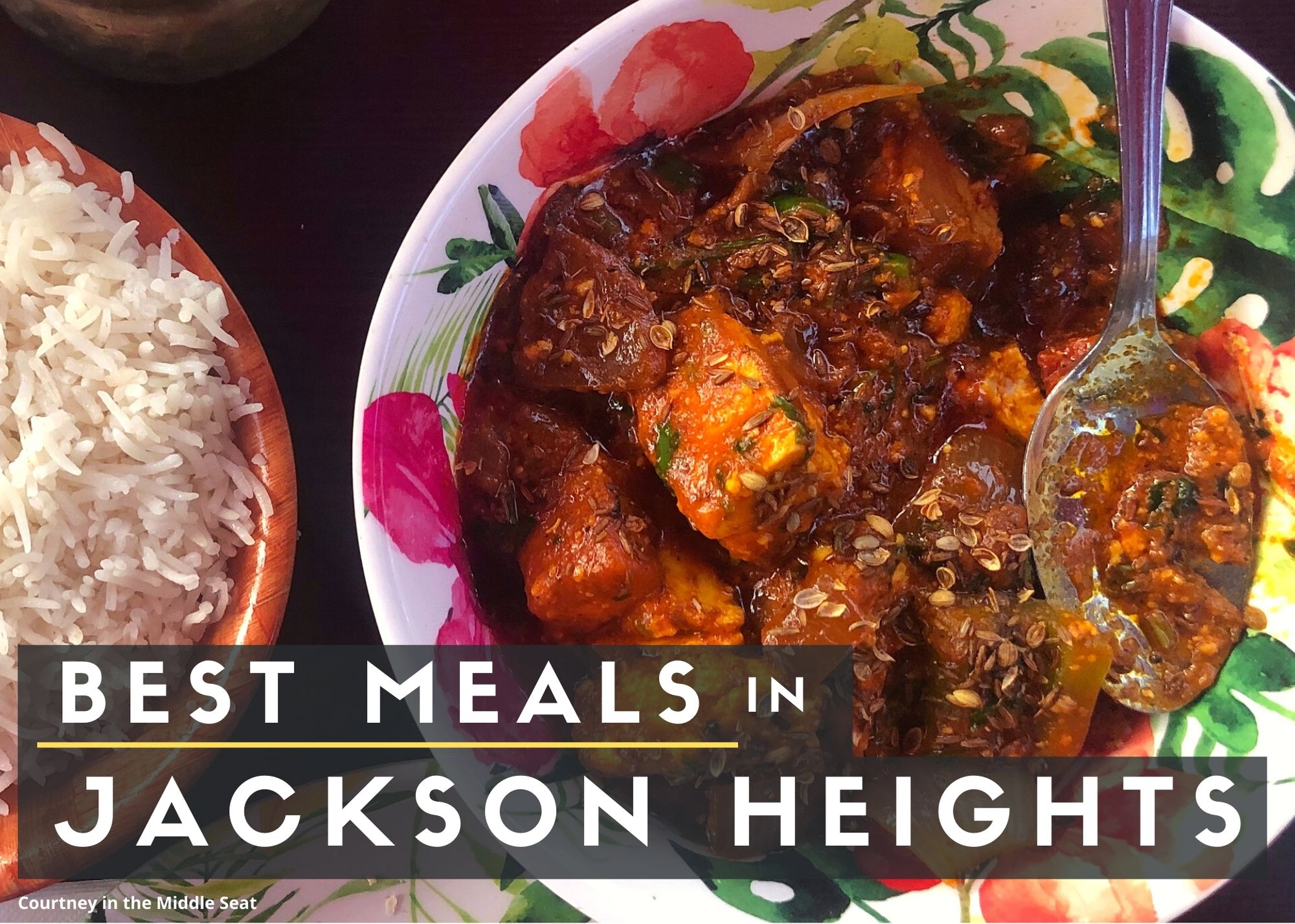 Best Meals in Jackson Heights text with a background image of Paneer