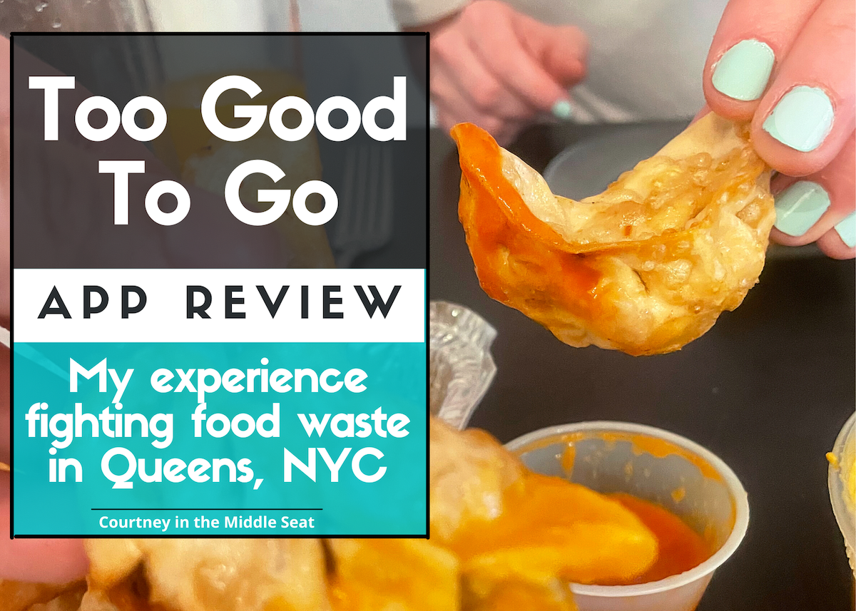 Too Good To Go App Review Blog Post Header Photo with text and a hand holding a friend momo