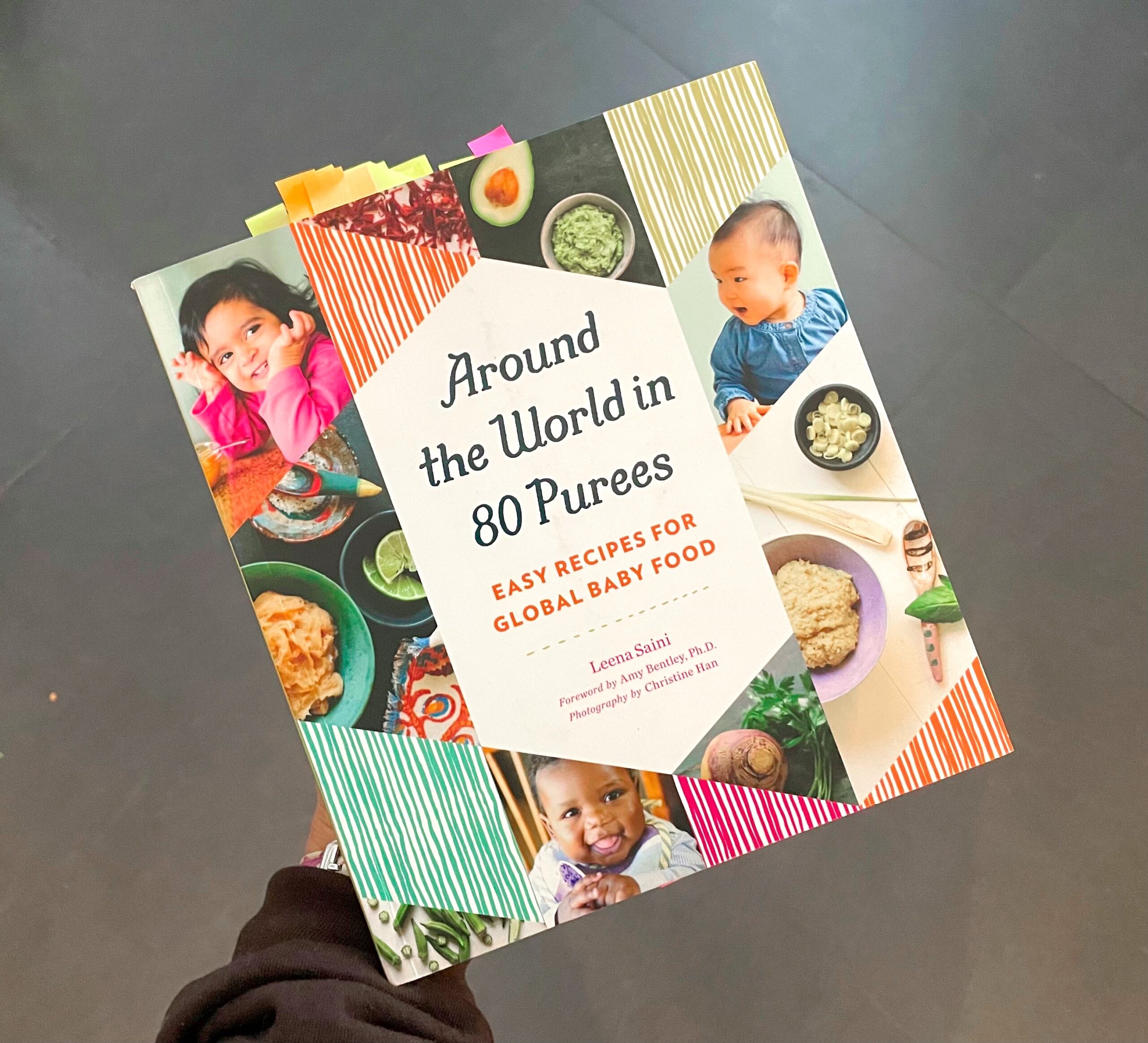 Around the World in 80 Purees Book Cover