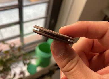 Hand holding a Tiramisu Flavored Oreo from South Korea