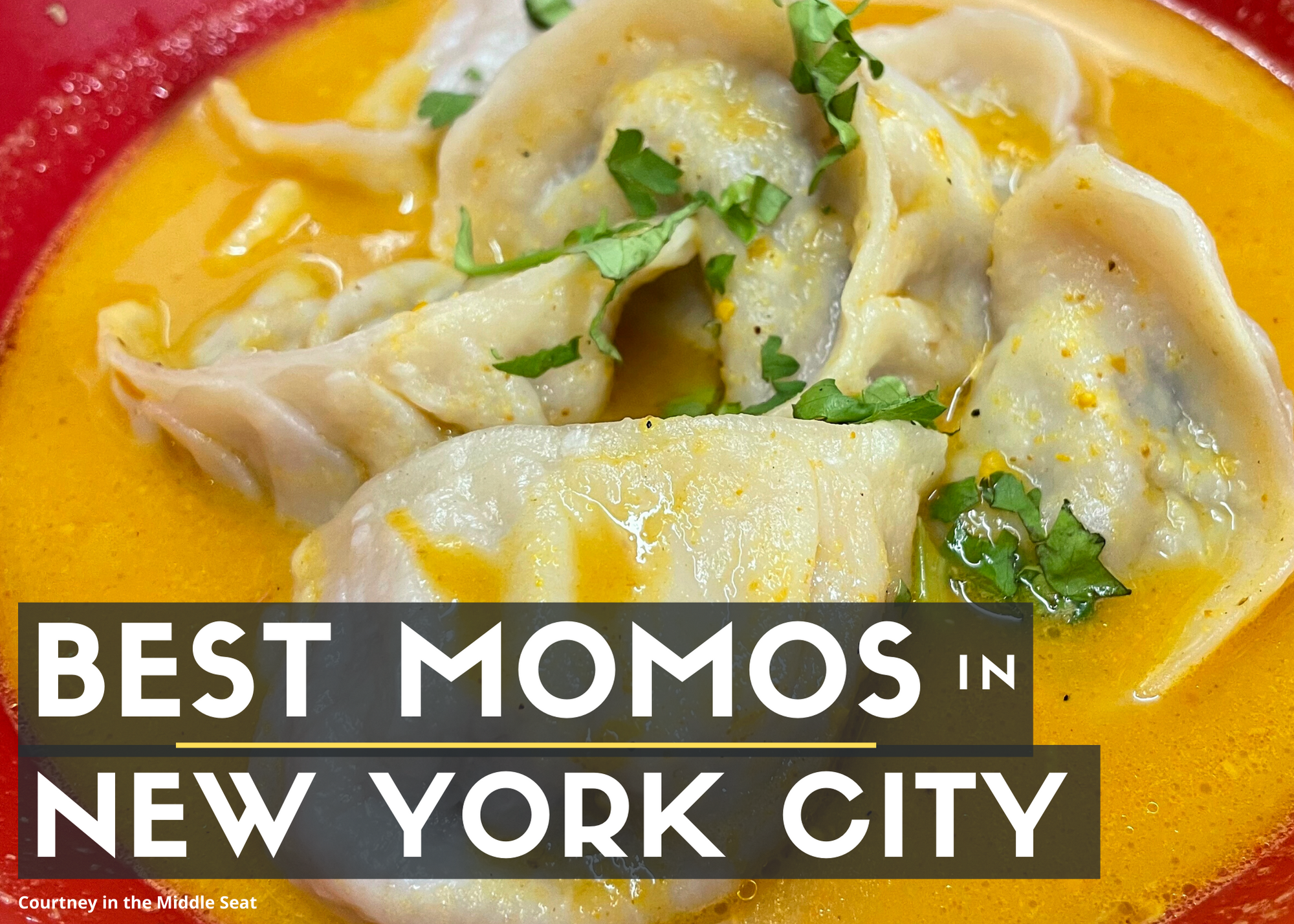Blog Post Cover for Best Momos in New York City picturing beef momos in jhol