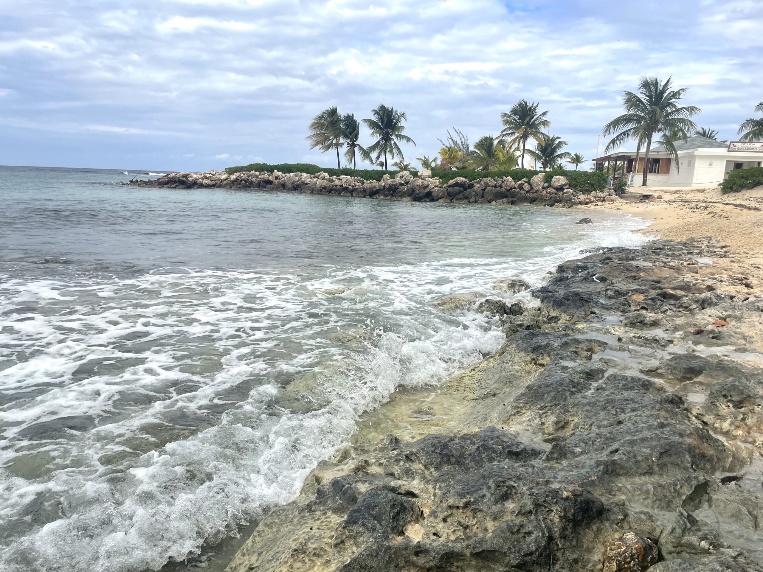 Beach scene with waves, rocks and palm trees along the shoreline at Bahia Grand Principe Resort in Runaway Bay, Jamaica