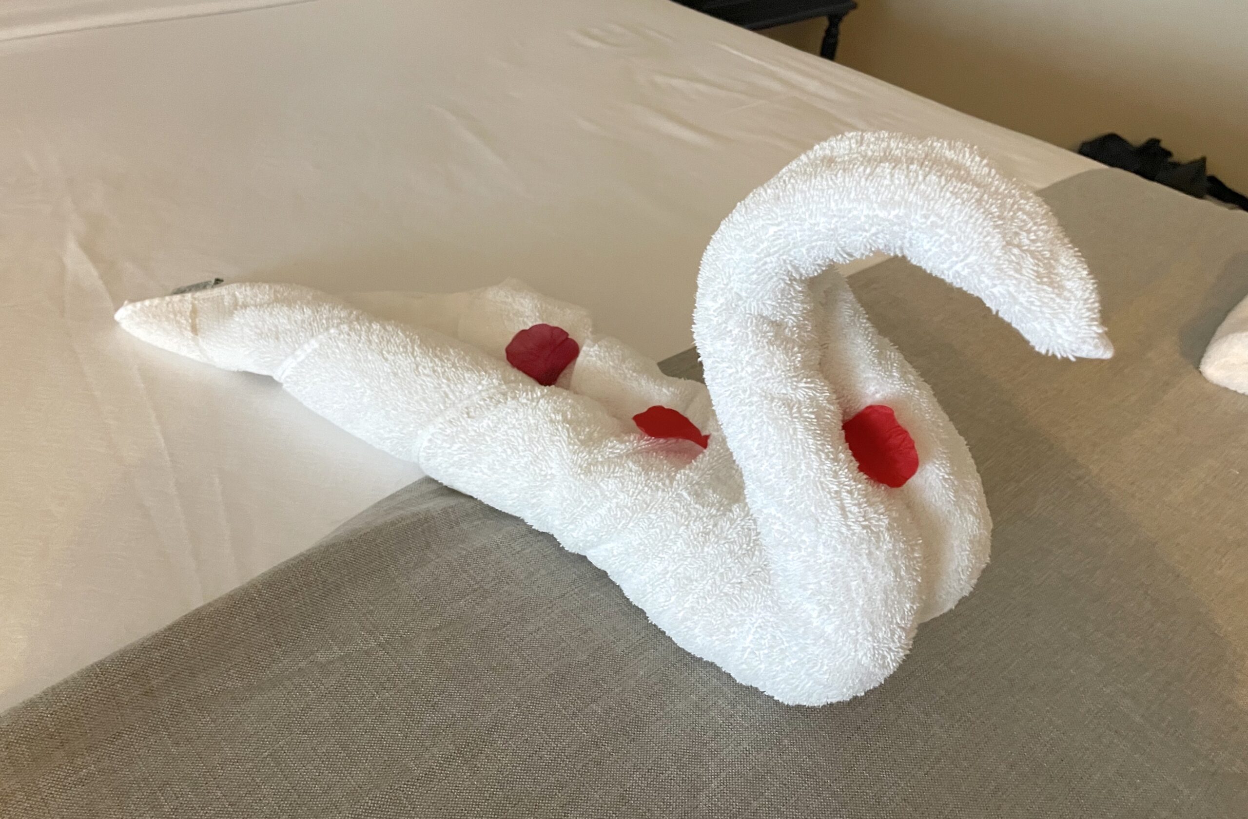 Towel creature on the bed in Jamaica with flower petals